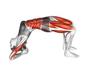 dwi pada viparita dandasana posture du baton inverse asana yoga