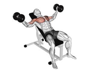 ecartes incline avec halteres exercice milieu muscles pectoraux