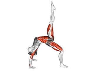eka pada urdhva dhanurasana posture de la roue sur une jambe asana yoga
