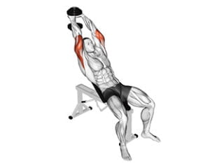 extensions verticales a deux mains avec haltere exercice triceps