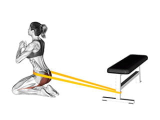 hip thrusts a genoux avec elastique fesse ronde