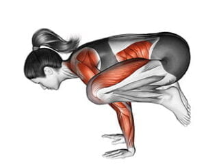 kakasana posture du corbeau asana yoga