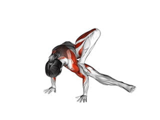 maksikanagasana posture de la libellule asana yoga