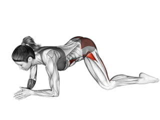 mandukasana posture de la grenouille asana yoga