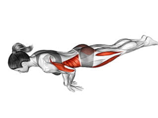 mayurasana posture du paon asana yoga