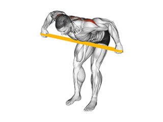 oiseau avec elastique exercice muscler epaules