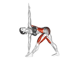 parivrtta trikonasana posture du triangle inverse asana yoga