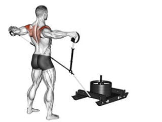 power sled chariot de puissance