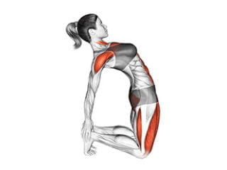 ustrasana posture du chameau asana yoga