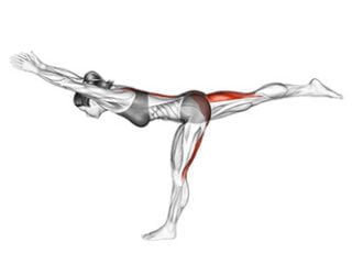 Eka Pada Urdhva Dhanurasana (posture de la Roue sur une Jambe ...