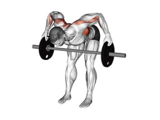 bent over row prise disque exercice dos epaisseur
