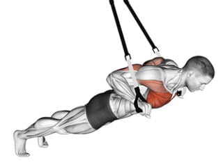 chest press avec sangles de suspension musculation pectoraux