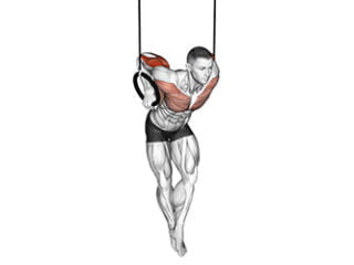 dips aux anneaux exercice triceps CrossFit