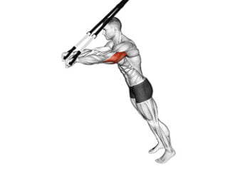 extensions des triceps avec sangles de suspension muscul maison
