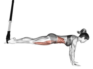planche avec sangles de suspension exercice gainage abdominau