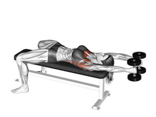 pullover avec deux halteres exercice isolation grand dorsal