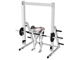 rowing a la Smith machine exercice dos masse musculaire
