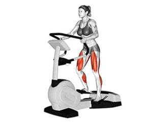 stepper cardio training femme fessiers