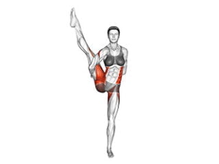 svarga dvijasana posture de l'oiseau du paradis asana yoga