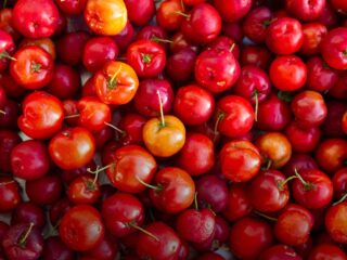 Acerola