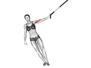 curl unilateral avec sangles de suspension exercice biceps vacances
