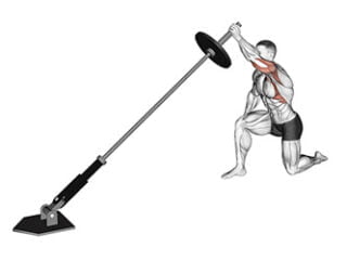 developpe epaules unilateral a la landmine exercice bodybuilding