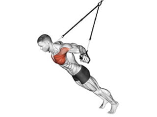 ecartes avec sangles de suspension exercice muscle poitrine