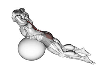 extensions lombaire sur Swiss ball exercice lombalgie