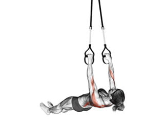 tractions australiennes avec sangles de suspension variante difficile exercice dos maison