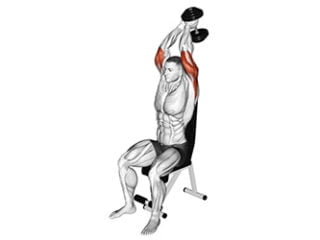 extensions des triceps assis avec haltere exercice bras enorme