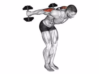 kickback debout avec halteres exercice triceps facile