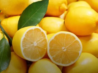 citron fruit