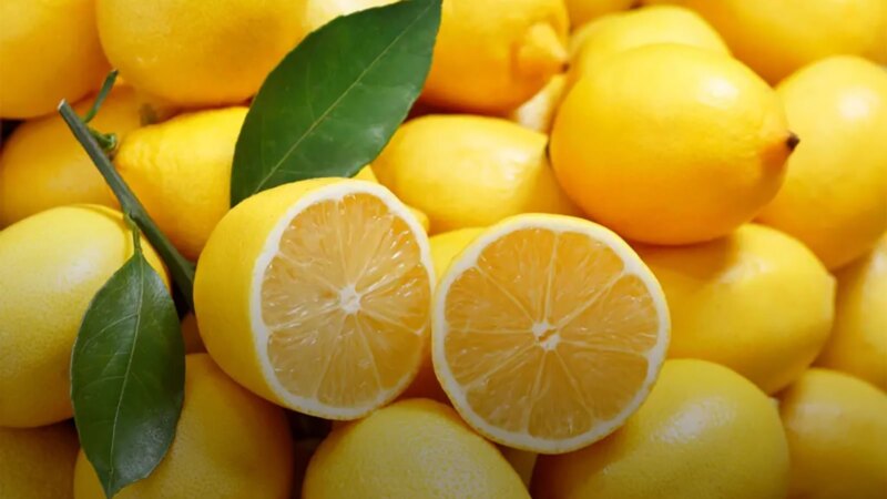 Noix De P can Valeurs Nutritionnelles Bienfaits Pour La Sant 