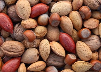informations nutritionnels oléagineux
