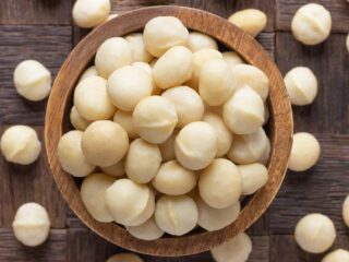 noix de macadamia-oleagineux fruit a coque