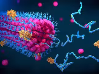 role fonction proteine