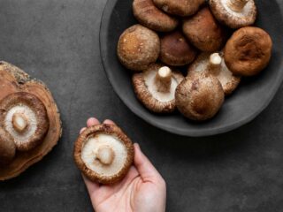 shiitake champignon aliment sain