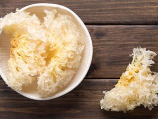 tremella fuciformis champignon blanc