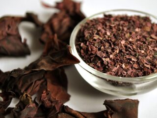 dulse algue aliment comestible