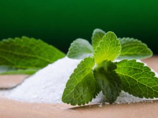stevia rebaudiana edulcorant naturel