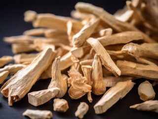 astragale complement alimentaire sante