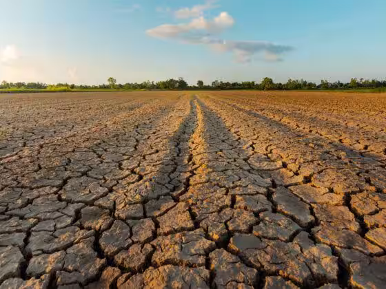 Journee mondiale de lutte contre la desertification et la secheresse