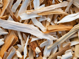 saule blanc complement naturel articulation