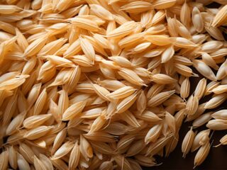 avoine ideal personnes intolerantes au gluten-taux de sucre