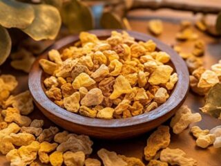 boswellia serrata salai guggul shallaki oliban frankincense resine complement acides boswelliques