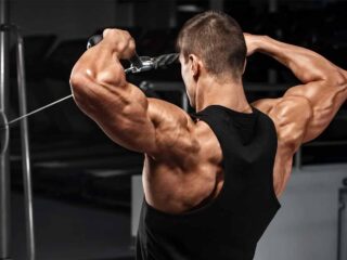 musculation epaule deltoide elargir arrondir augmenter carrure