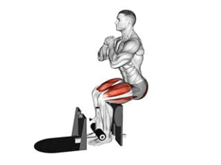 sissy squat machine bodyweight supported squat exercice jambe poids de corps