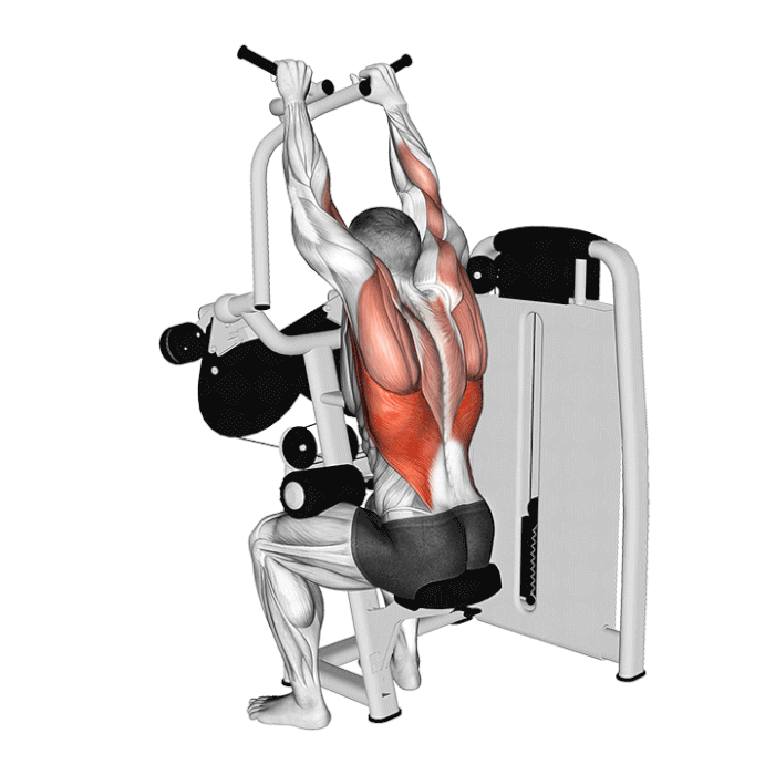 Tirage vertical sur machine Technogym lever cross lat pulldown