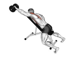 elevation frontale sur banc incline exercice epaule