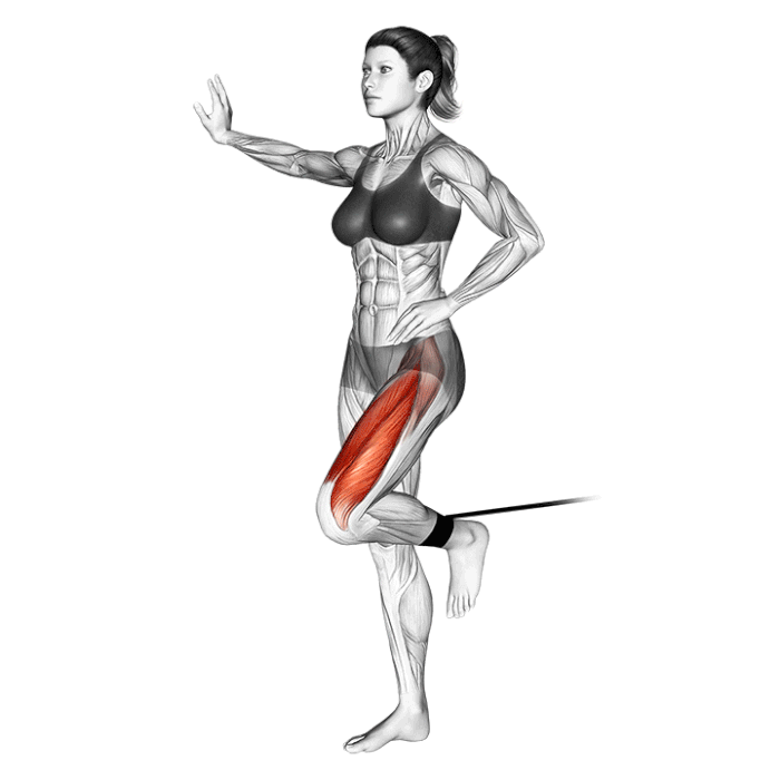 leg extension avec élastique